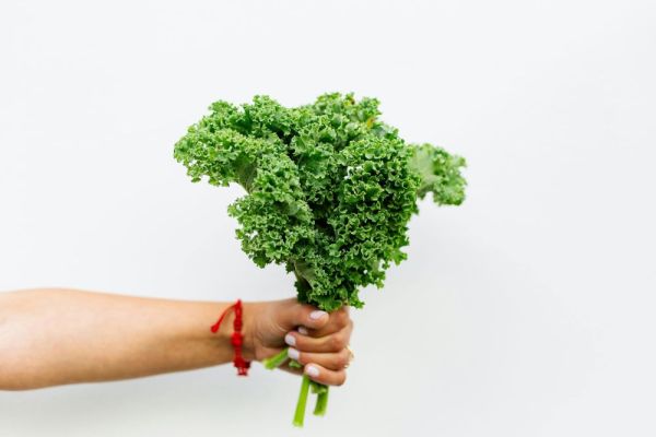 Lose fat without losing your metabolism