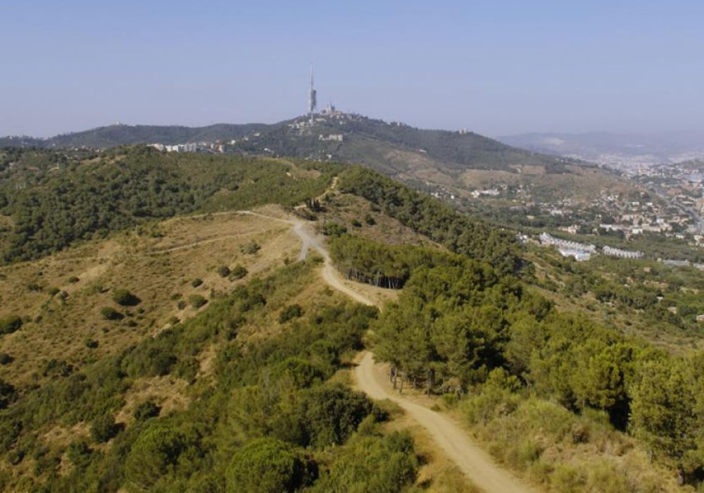 parc de collserola