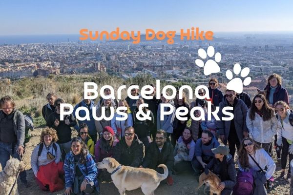 Paws & Peaks: Sunday Dog Hike